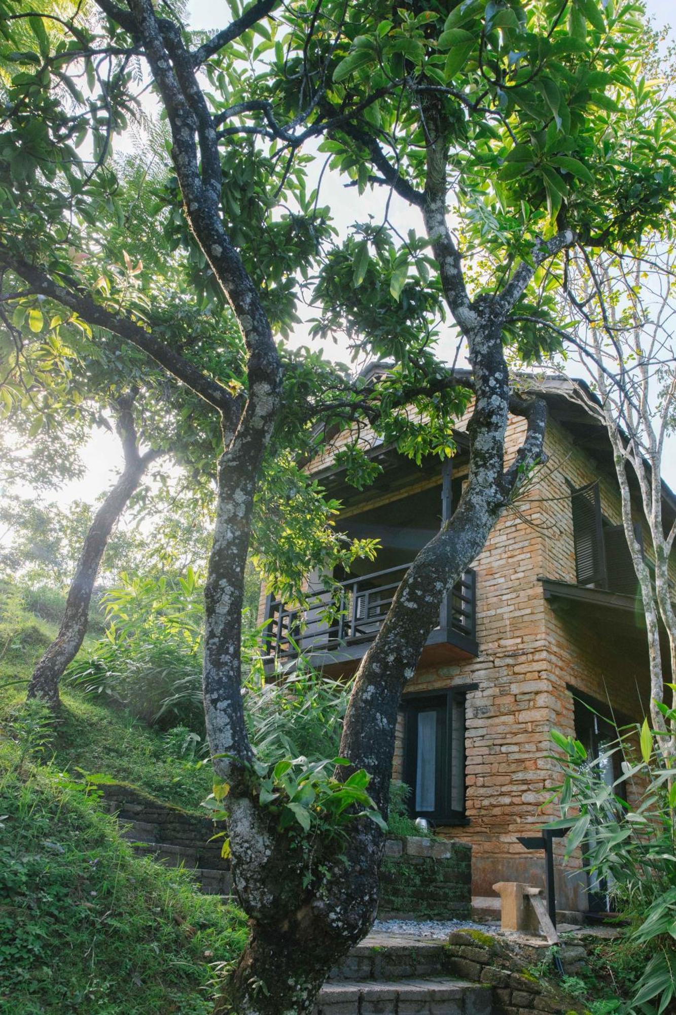 Tiger Mountain Pokhara Lodge מראה חיצוני תמונה